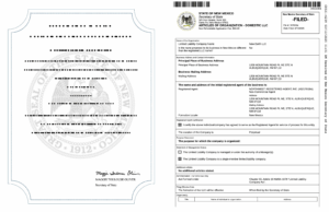 LLC vs GmbH